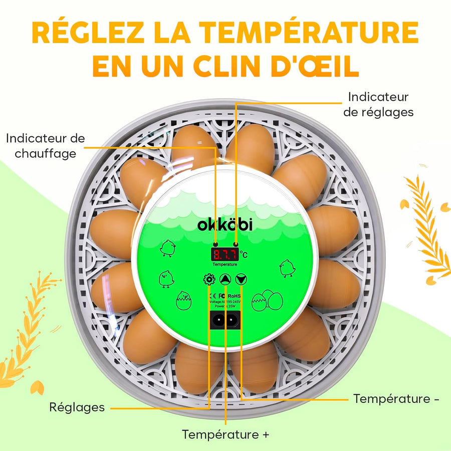 M12 Couveuse Oeuf Automatique - Contrôle Humidité, Réglage Température, Couveuse Automatique 12/24 œufs - Incubateur Auto - Vue 360°, facile à utiliser et nettoyer - Blanc et vert