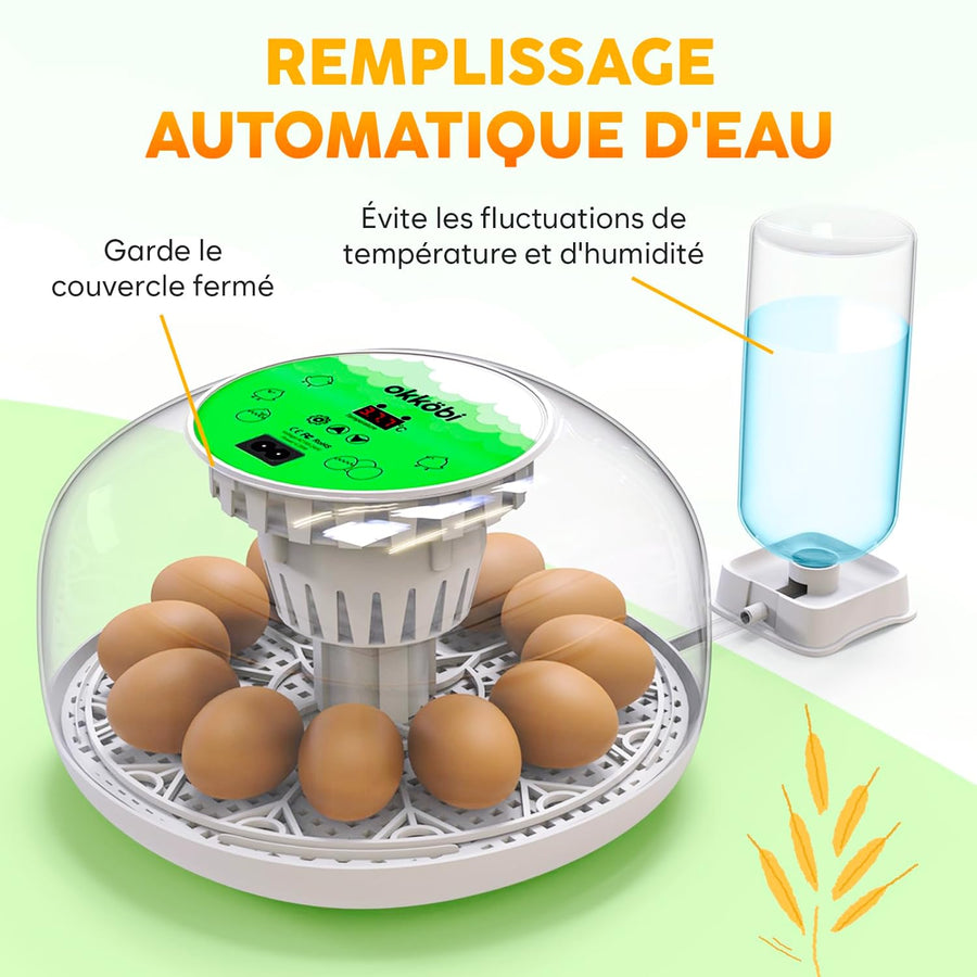 M12 Couveuse Oeuf Automatique - Contrôle Humidité, Réglage Température, Couveuse Automatique 12/24 œufs - Incubateur Auto - Vue 360°, facile à utiliser et nettoyer - Blanc et vert