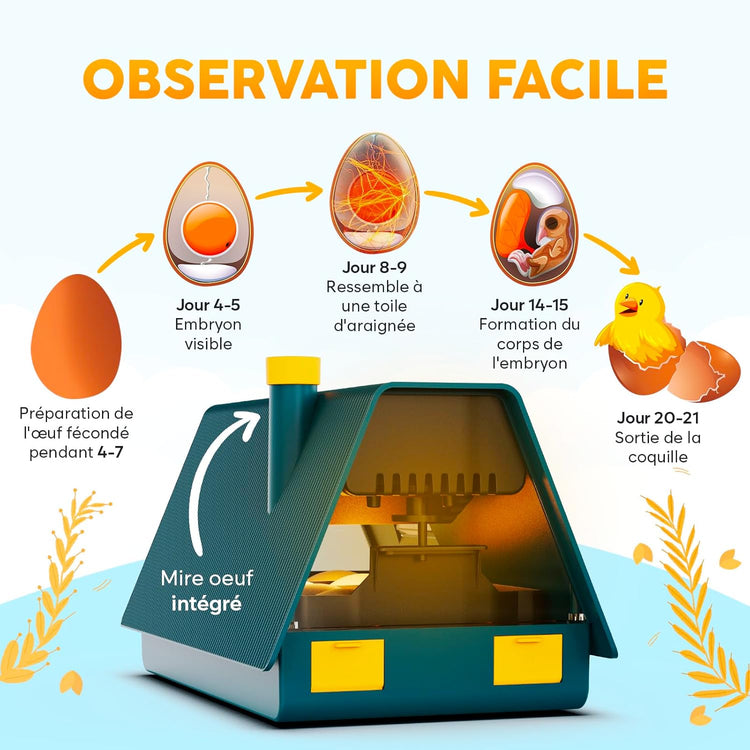Couveuse Automatique Incubateur Oeuf Retournement Automatique Contrôle Humidité Mire oeuf Intégré 10 œufs Tout type volailles