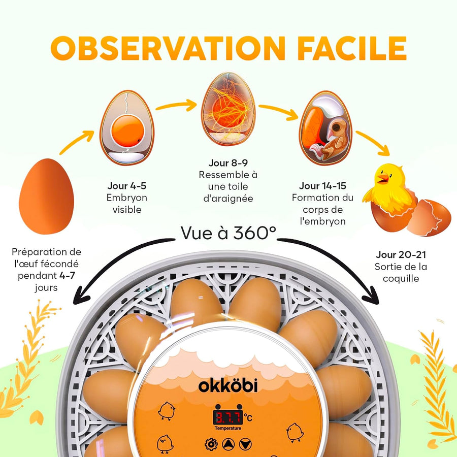 M12 Couveuse Oeuf Automatique - Contrôle Humidité, Réglage Température, Couveuse Automatique 12/24 œufs - Incubateur Auto - Vue 360°, facile à utiliser et nettoyer - Blanc et Orange