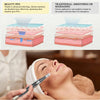 Stylo Beauté Microneedling, Appareil de Soin du Visage et du Corps avec 3 Vitesses et 12 Cartouches de Remplacement, Rechargeable