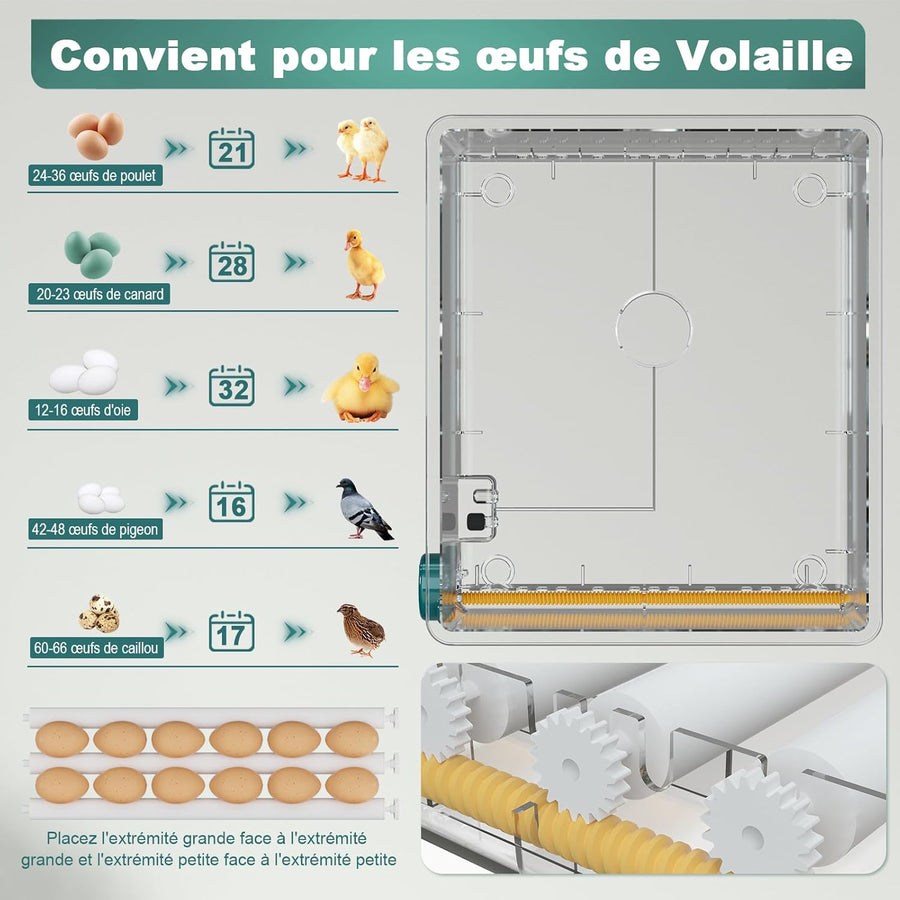Couveuse Oeuf Automatique, Incubateur Oeuf Automatique 24-36 Oeufs avec Retournement Automatique des œufs et Ajout Automatique d'eau, Incubateur avec 4 modes d'incubation Automatiques