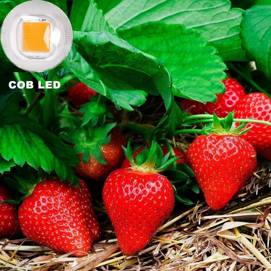 Lampe Horticole 150W, Lampe de Culture COB LED Lampe Horticole Led Spectre Complet,Lampe Plante Étanche IP67 LED Horticole pour Plantes Floraison Veg Semis Intérieur Extérieur