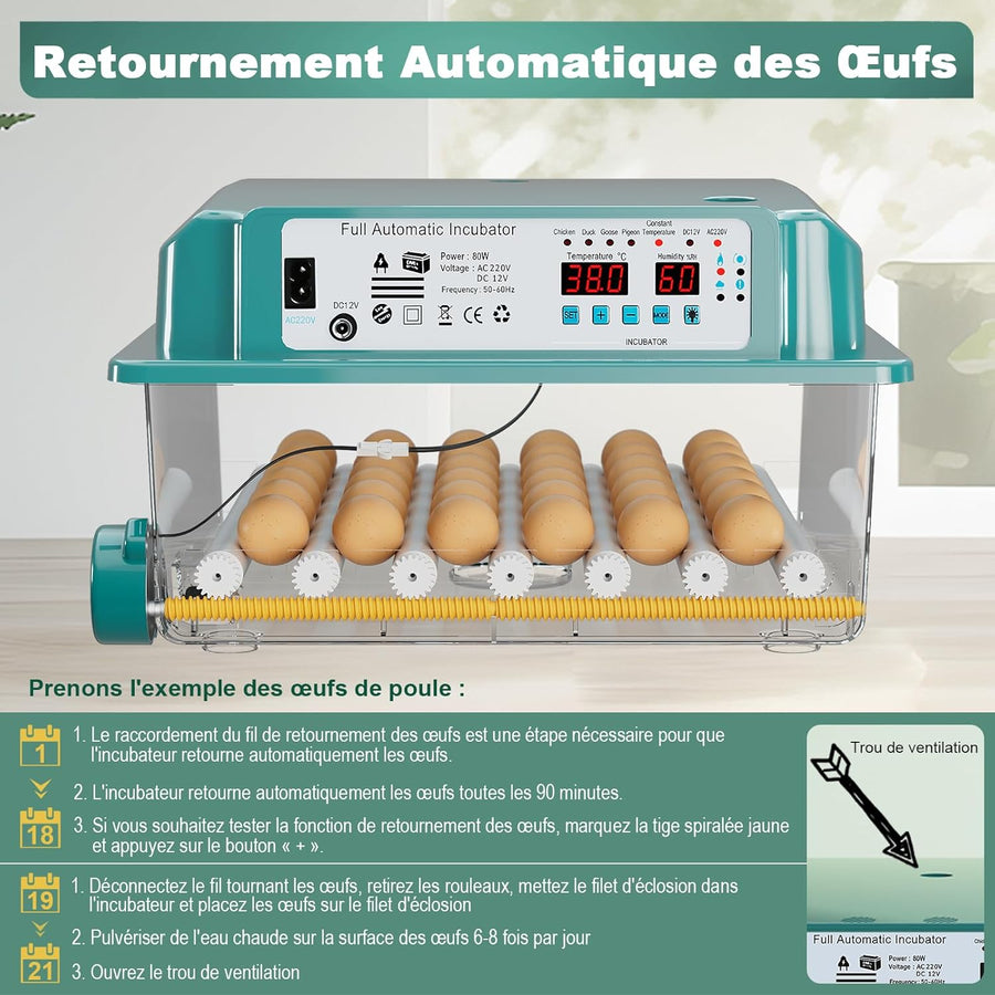 Couveuse Oeuf Automatique, Incubateur Oeuf Automatique 24-36 Oeufs avec Retournement Automatique des œufs et Ajout Automatique d'eau, Incubateur avec 4 modes d'incubation Automatiques