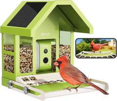 Mangeoire Oiseaux Camera pour L’Observation direct, 1080P Solaire Mangeoire Oiseaux Exterieur sans Fil, Vision Nocturne en Couleur, Notification Instantanée, Enregistrement