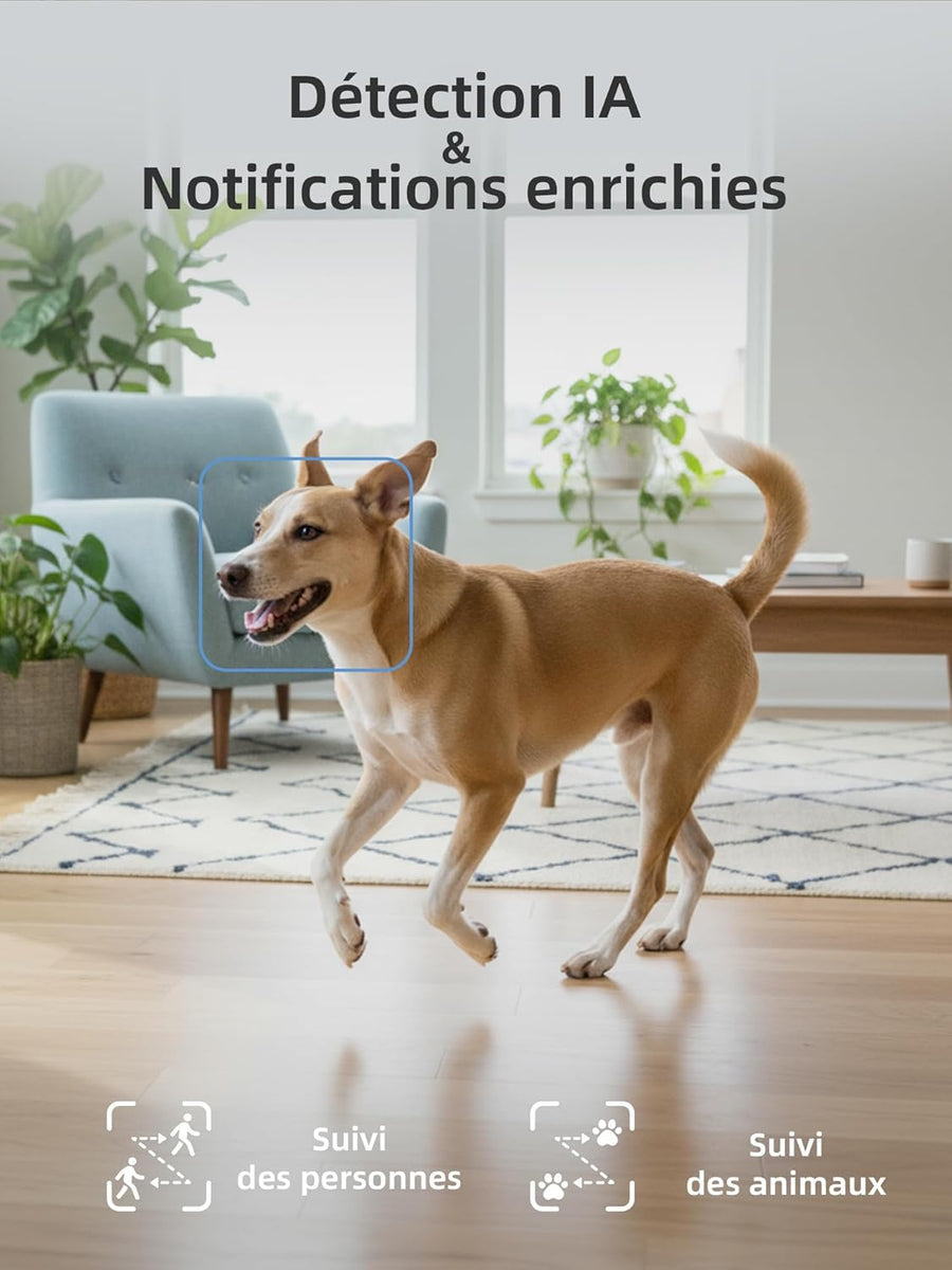 Caméra Surveillance WiFi Intérieure 1080P, 2-en-1 Double Objectif, Rotation 360, Vision Nocturne Couleur, Auto-Suivi, Audio Bidirectionnel