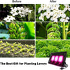 Lampe Horticole 150W, P600 Lampe Plante Interieur LED Spectre Complet, IP67 ETanche, Grow Light pour Une Culture Tout Au Long De L'AnnéE Avec Un éClairage De 270° - LumièRe Rose