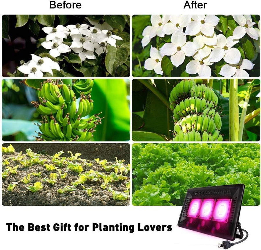Lampe Horticole 150W, P600 Lampe Plante Interieur LED Spectre Complet, IP67 ETanche, Grow Light pour Une Culture Tout Au Long De L'AnnéE Avec Un éClairage De 270° - LumièRe Rose