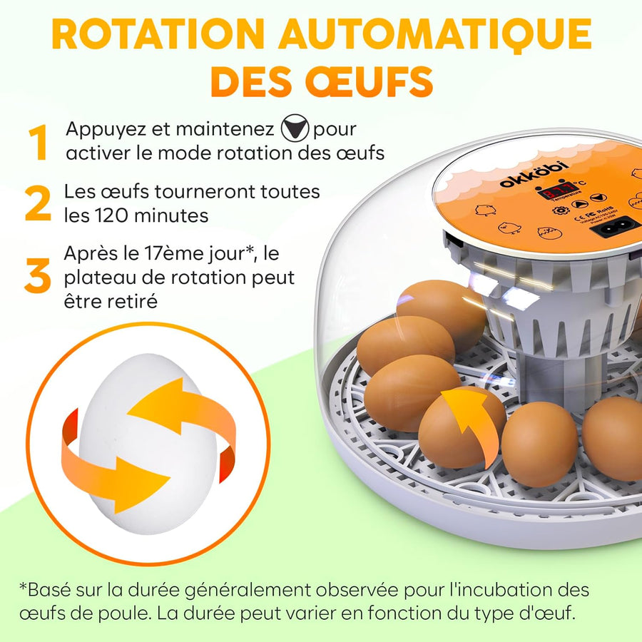 M12 Couveuse Oeuf Automatique - Contrôle Humidité, Réglage Température, Couveuse Automatique 12/24 œufs - Incubateur Auto - Vue 360°, facile à utiliser et nettoyer - Blanc et Orange
