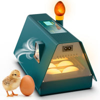 Couveuse Oeuf Automatique - Idéal tous âges - Incubateur Retournement Automatique - Contrôle Humidité - Mire oeuf intégré - 10 œufs - Tout type volailles