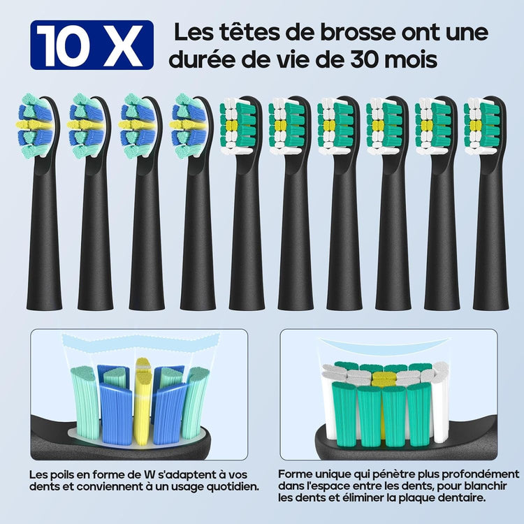 Brosse À Dents Électrique Rechargeable Avec 3 Modes de Brossage 10 Tête de Rechange NOIR