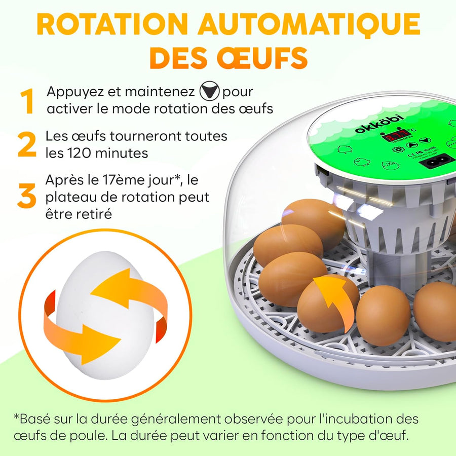 M12 Couveuse Oeuf Automatique - Contrôle Humidité, Réglage Température, Couveuse Automatique 12/24 œufs - Incubateur Auto - Vue 360°, facile à utiliser et nettoyer - Blanc et vert