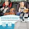 Caméra Voiture Bébé pour 2 Enfants : Écran IPS 7 Pouces avec Deux Caméras pour Siège Auto, Écran Partagé, Vision Nocturne, HD 1080P - Caméra Arrière Facile à Installer