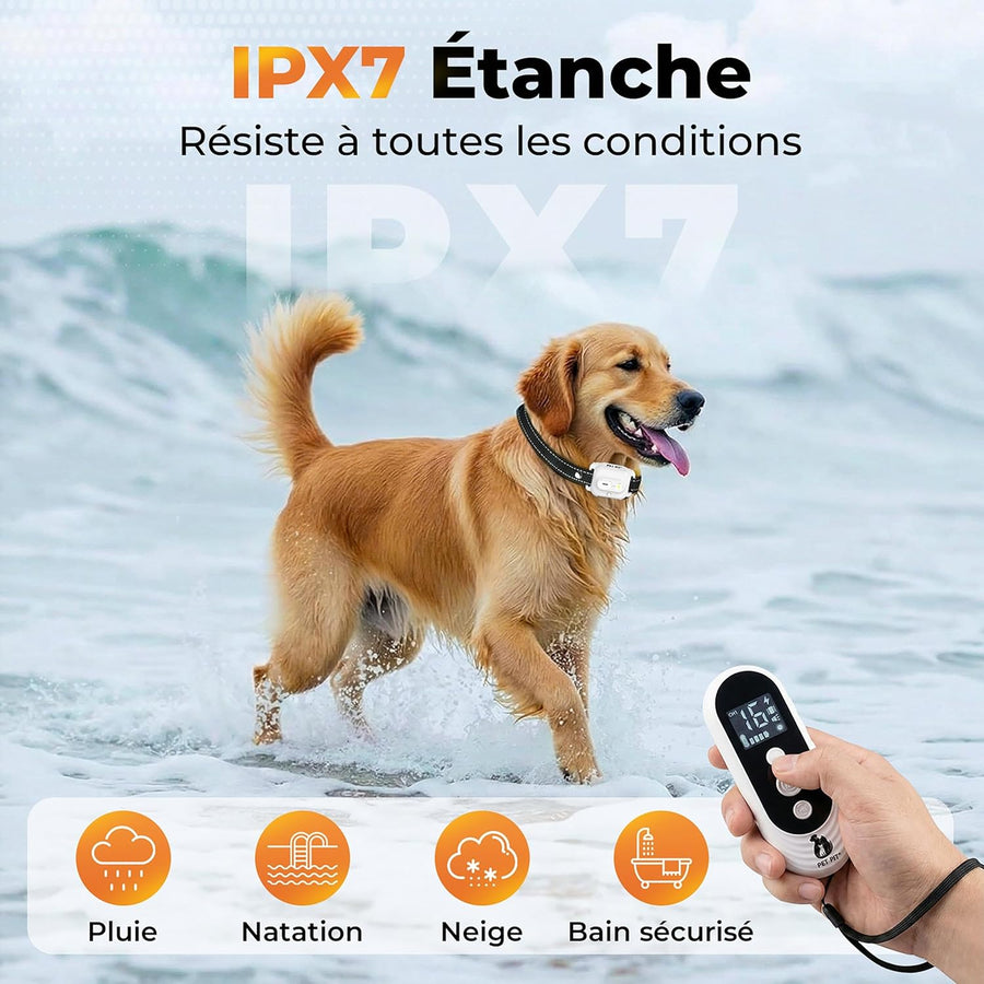 Collier de Dressage pour Chien, sans Choc, Collier Electrique pour Chien Portée 1000 m (3300 ft), 4 Modes Bip, Vibration, Lumière,Bip+Vibration,1-50 Niveaux d’Entraînement, Étanche IPX7