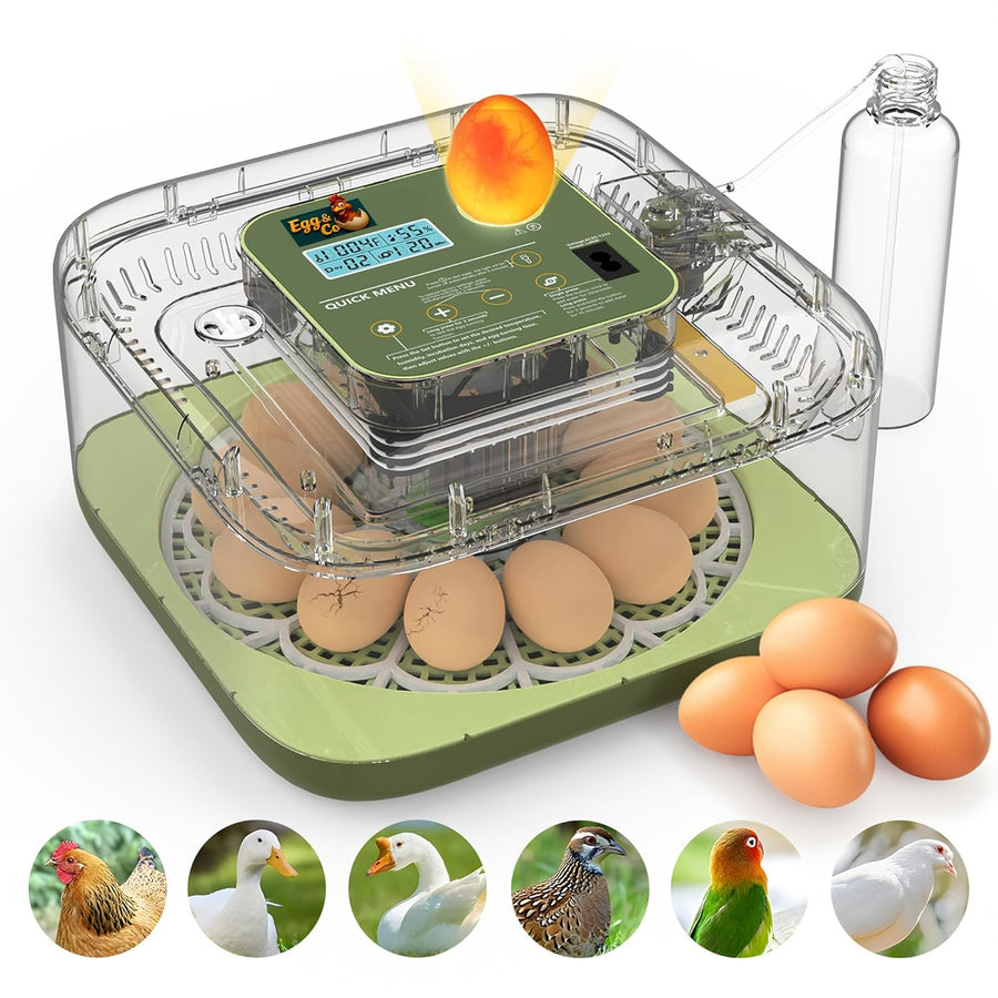 Couveuse œuf automatique PREMIUM pour poussin de poule, caille, oie, canard, volaille, oiseau Incubateur œuf fiable gère seul température, humidité, retournement des œufs, éclosion des poussins