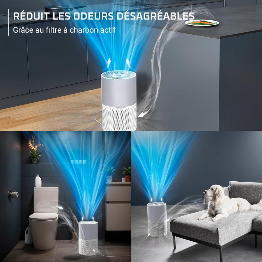 Rowenta Pure Air Compact, Purificateur d'air intérieur, Purification de l'air très efficace, Rapide, Confort accru, PU2220F0