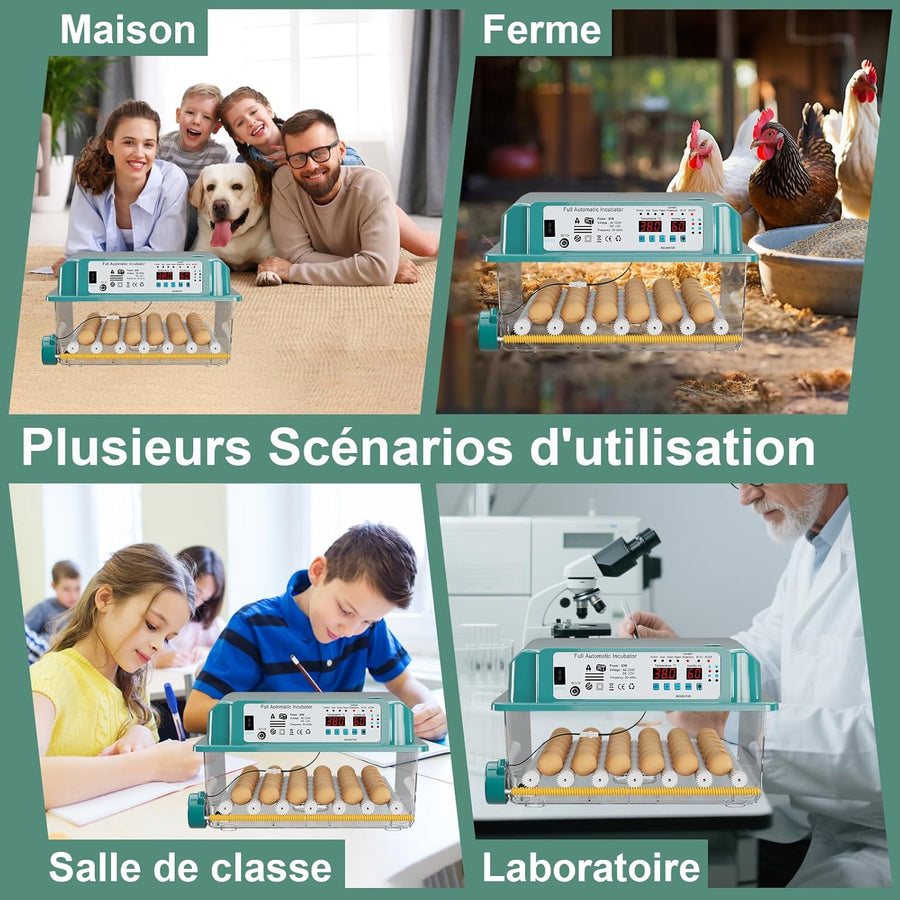 Couveuse Oeuf Automatique, Incubateur Oeuf Automatique 24-36 Oeufs avec Retournement Automatique des œufs et Ajout Automatique d'eau, Incubateur avec 4 modes d'incubation Automatiques