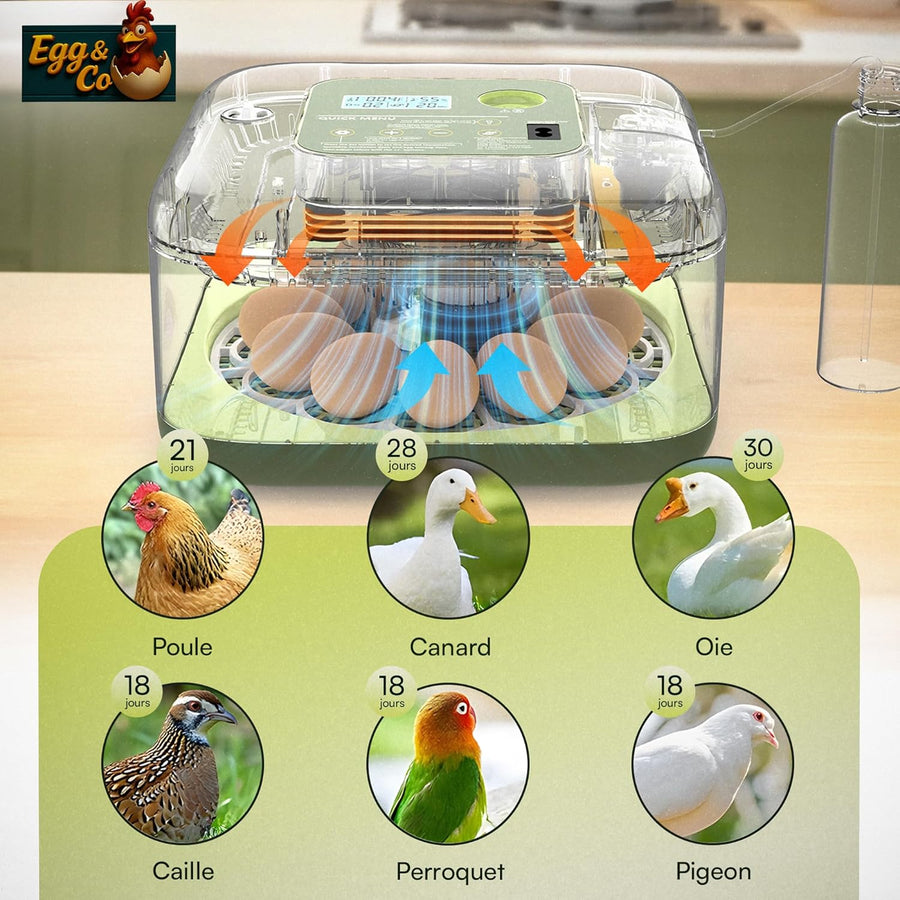 Couveuse œuf automatique PREMIUM pour poussin de poule, caille, oie, canard, volaille, oiseau Incubateur œuf fiable gère seul température, humidité, retournement des œufs, éclosion des poussins