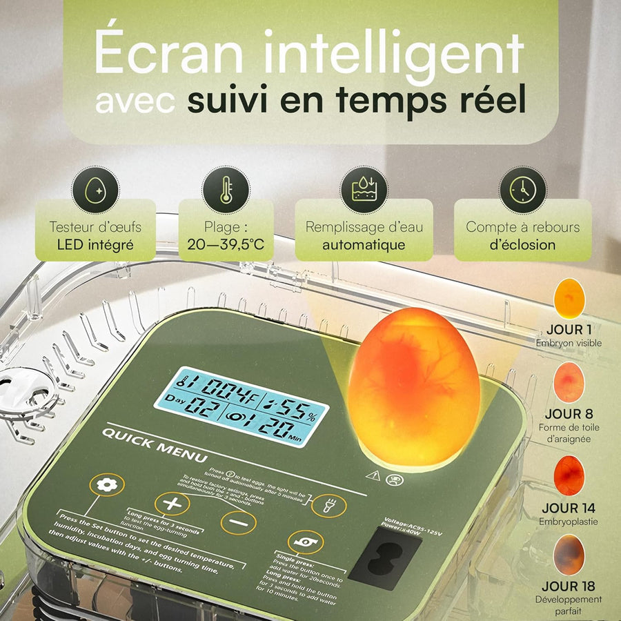 Couveuse œuf automatique PREMIUM pour poussin de poule, caille, oie, canard, volaille, oiseau Incubateur œuf fiable gère seul température, humidité, retournement des œufs, éclosion des poussins