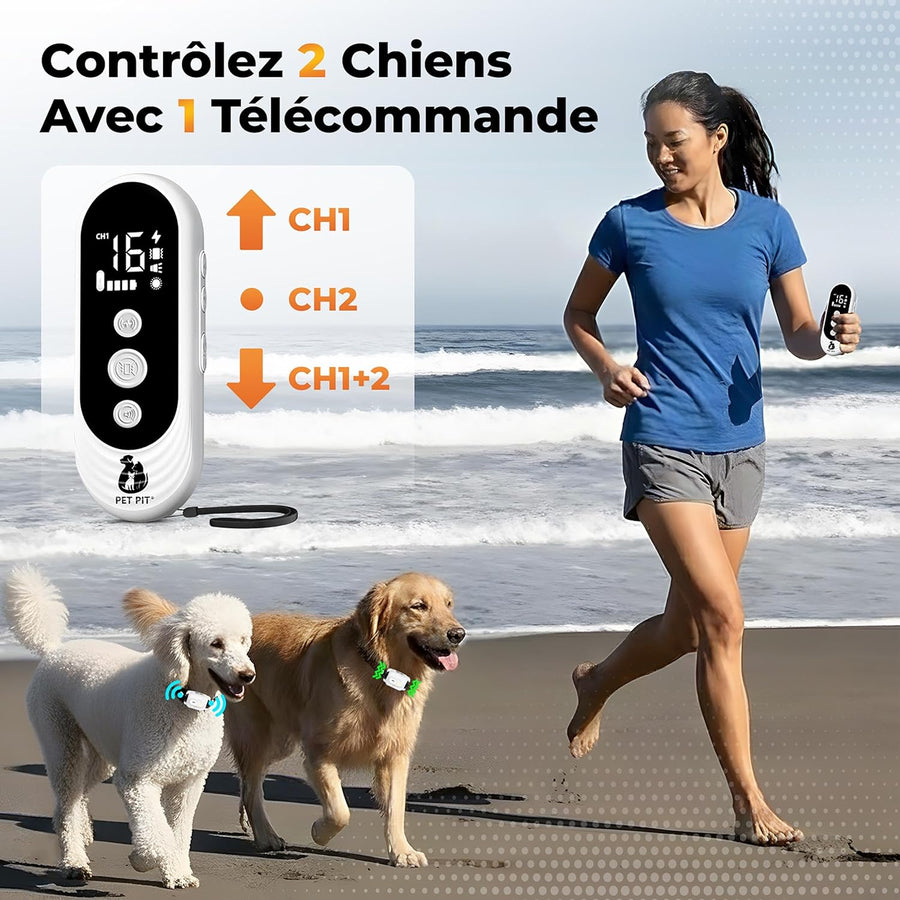 Collier de Dressage pour Chien, sans Choc, Collier Electrique pour Chien Portée 1000 m (3300 ft), 4 Modes Bip, Vibration, Lumière,Bip+Vibration,1-50 Niveaux d’Entraînement, Étanche IPX7