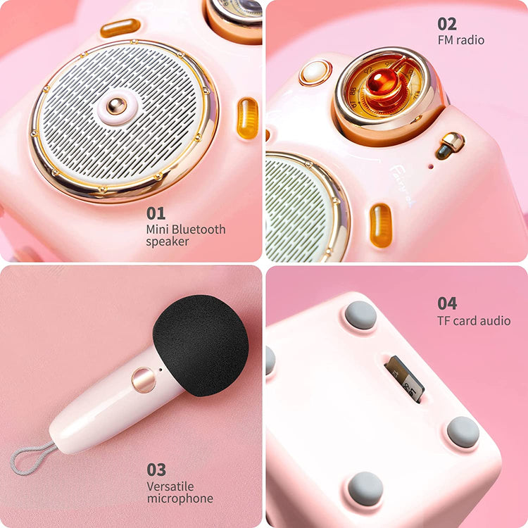 Haut-Parleur Bluetooth Portable et Microphone karaoké KTV IOS/Android Rose